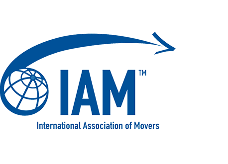 Logo IAM